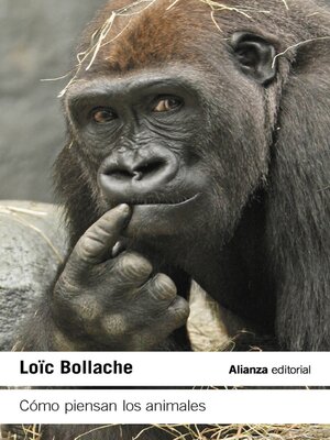 cover image of Cómo piensan los animales